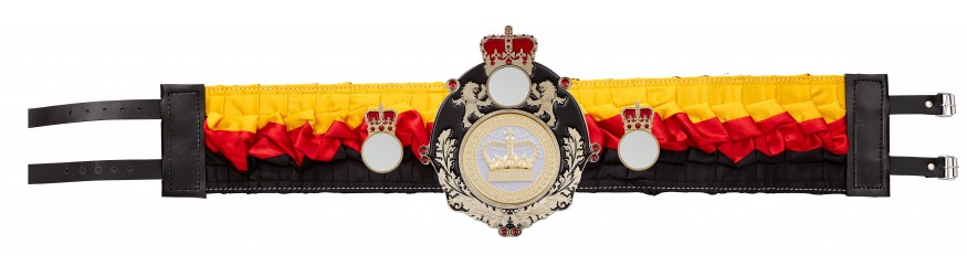 QUEENSBURY WHITE CHAMPION CROWN SILK CHAMPIONSHIP BELT - QUEEN/B/WHTGEM/SILK - AVAILABLE IN 6 COLOURS